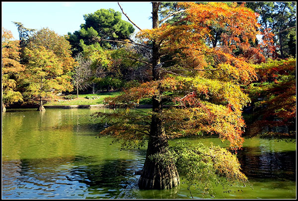 Siete sitios preciosos para disfrutar del otoño en Madrid 6 Parque-del-retiro