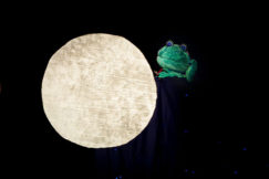 Una rana en la luna 2