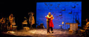 Companyia Teatre al detall LA NENA DELS PARDALS 03 Foto Quim Botey