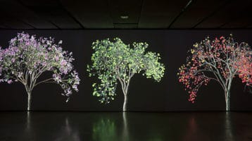 Jennifer-Steinkamp-Naturaleza-digital