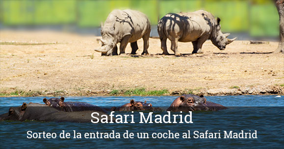 sorteo-safari-madrid
