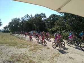 33778473 1710931122318490 95915213949239296 n