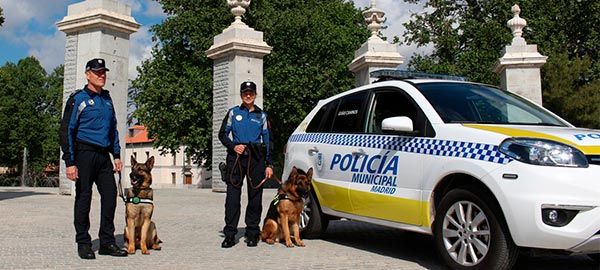 Exhibicion-canina Exhibicion-canina
