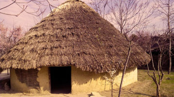 Arqueopinto