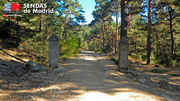 Calzada-borbonica