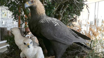 Centro-educación-ambiental-El-Aguila
