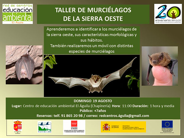 Taller-murcielagos Taller-murcielagos