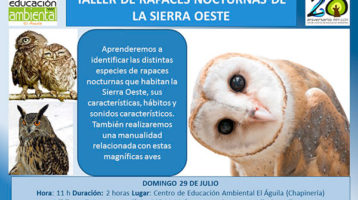 Taller-de-rapaces-nocturnas