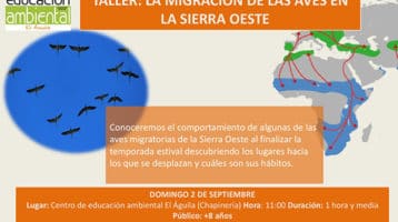 Centro-El-aguila