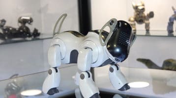 Museo-del-robot