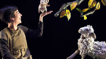 Historia-de-una-semilla