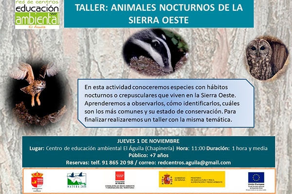 animalesnocturnos animalesnocturnos