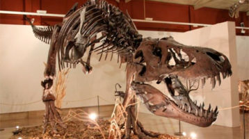 Dinopetrea