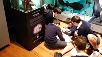 taller-museo-ciencias-naturales
