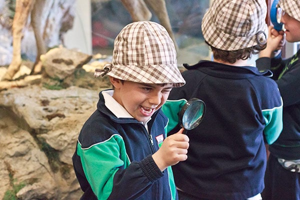 taller-museo-ciencias-naturales taller-museo-ciencias-naturales