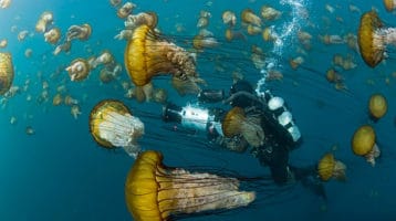 Oceans-World-Exhibition