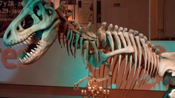 Exposicion-De-la-caverna-al-cine