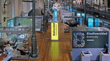 museo-ciencias-naturales