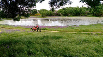 rutas-bicicletas-electricas