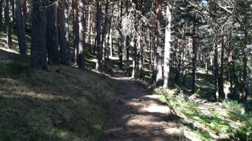 senda-del-arroyo-sestil