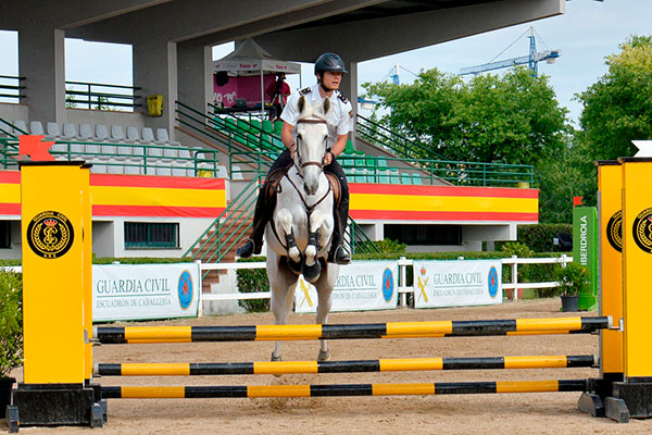 XXVI edición del Concurso de Salto Nacional Valdemoro 2019 11 concruso hipica 010618 7959G