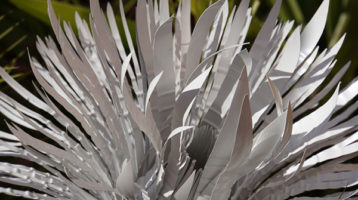 naturaleza-plastica