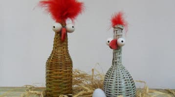 picos-plumas-y-alas
