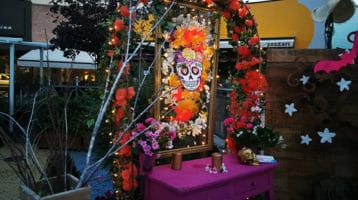 photocall-halloween-heron-city