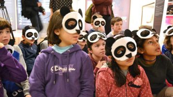 un-panda-muy-chulin