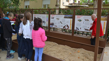 excavando-fosiles