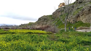 senda-soto-bayona-cortados-titulcia
