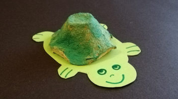 tortuna-carton-huevos