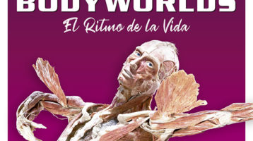 body-worlds