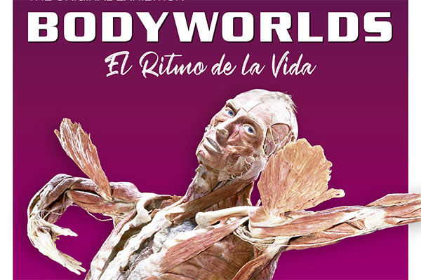body-worlds