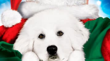en-busca-de-santa-can