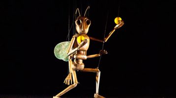 el-circo-de-los-insectos