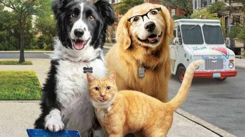 como-perros-y-gatos-la-patrulla-unida