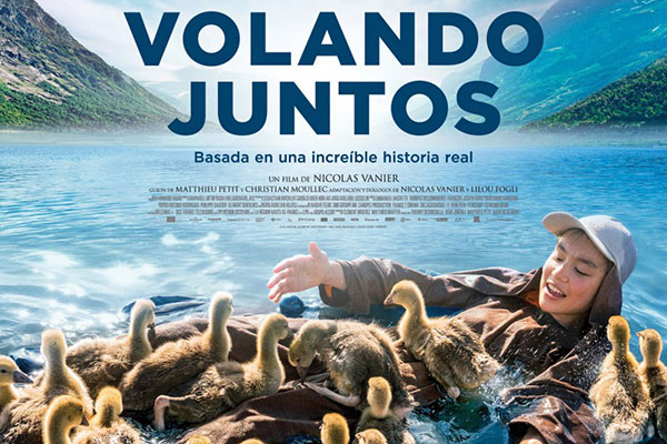 Volando juntos en Móstoles 5 volando-juntos