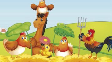 un-dia-en-la-granja