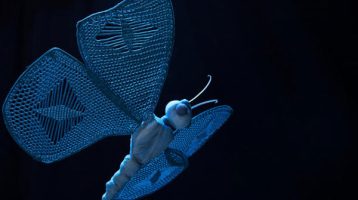 efecto-mariposa