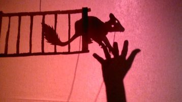 taller-sombras