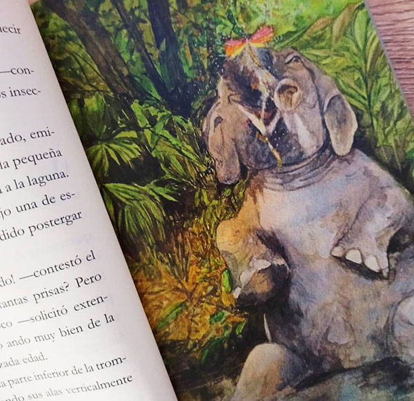 El elefante y la efímera 1 el-elefante-y-la-efimera