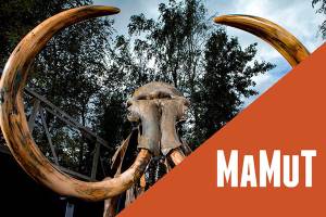 cazadoras de mamuts