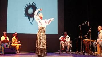 flamenco-kids