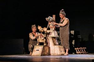 Bunji, la pequeña koala en Parla 8 bunji la pequena koala