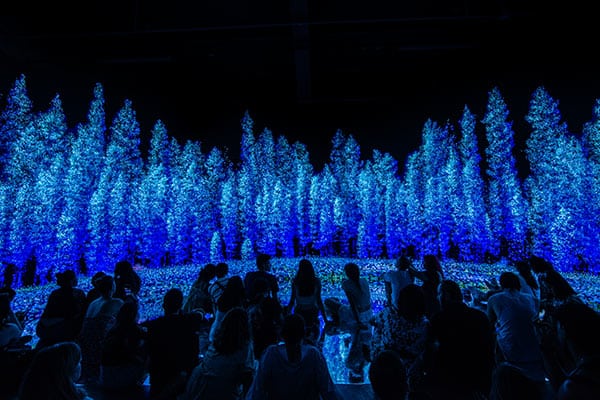 seasonal-proximities seasonal-proximities