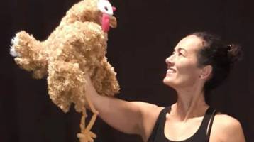 la-gallina-pipi