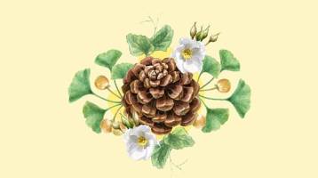 taller-ilustracion-cientifica