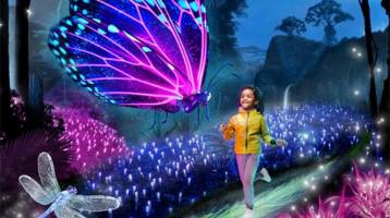 naturaleza-encendida