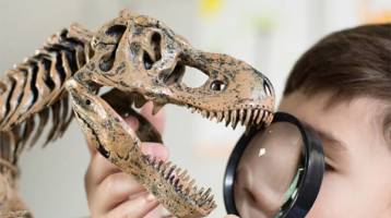 paleontologos